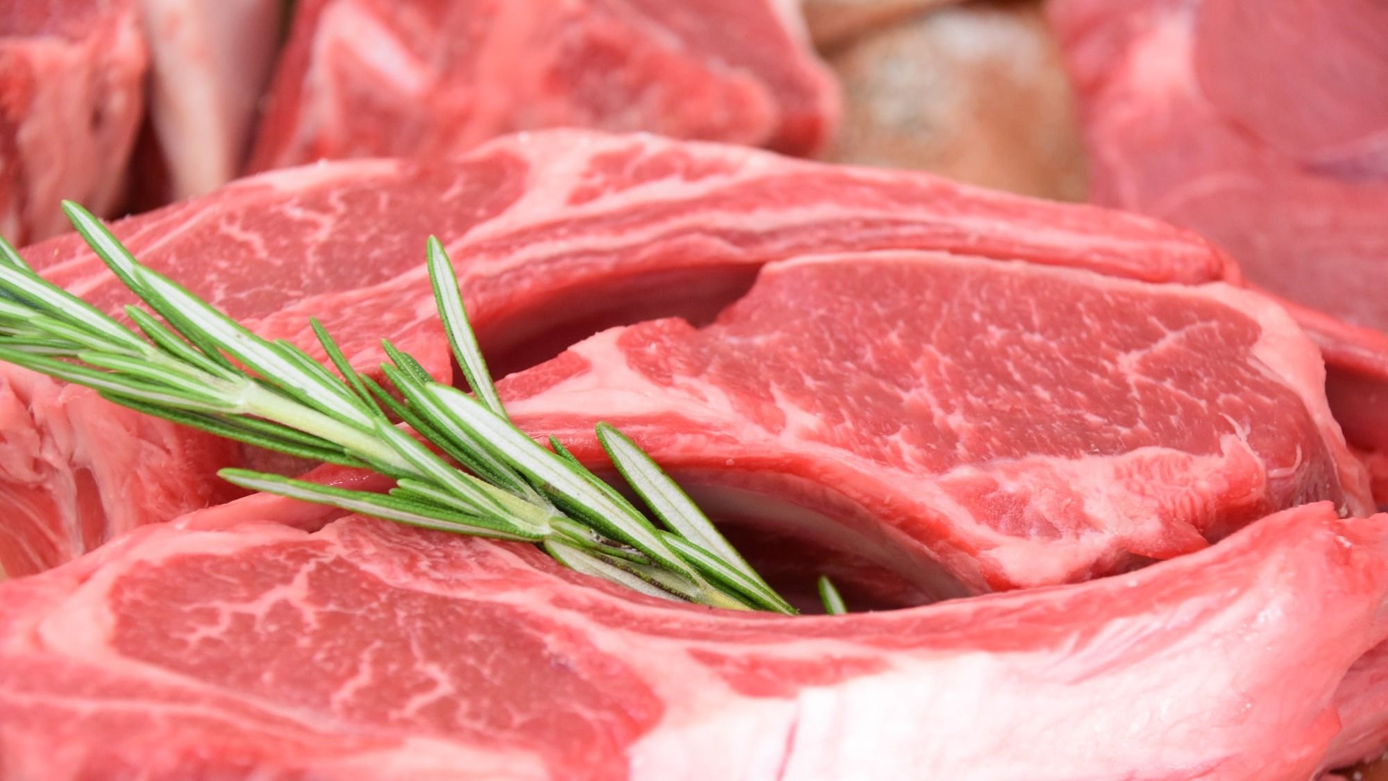 sliced raw meat with green leaves