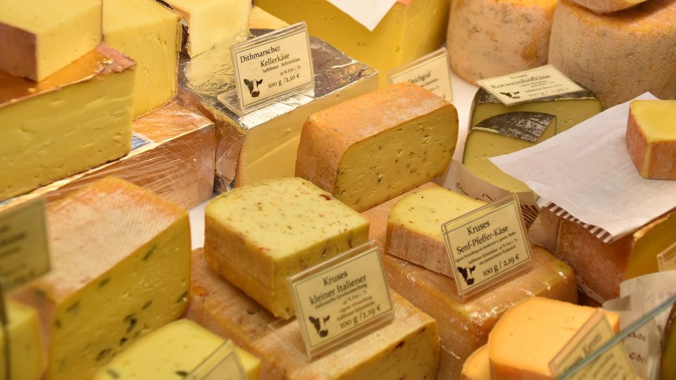 Can you eat cheese on a carnivore diet?